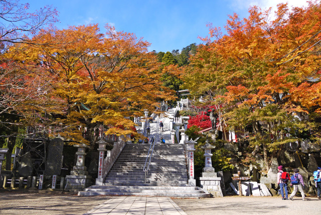 大山阿夫利神社【伊勢原市】